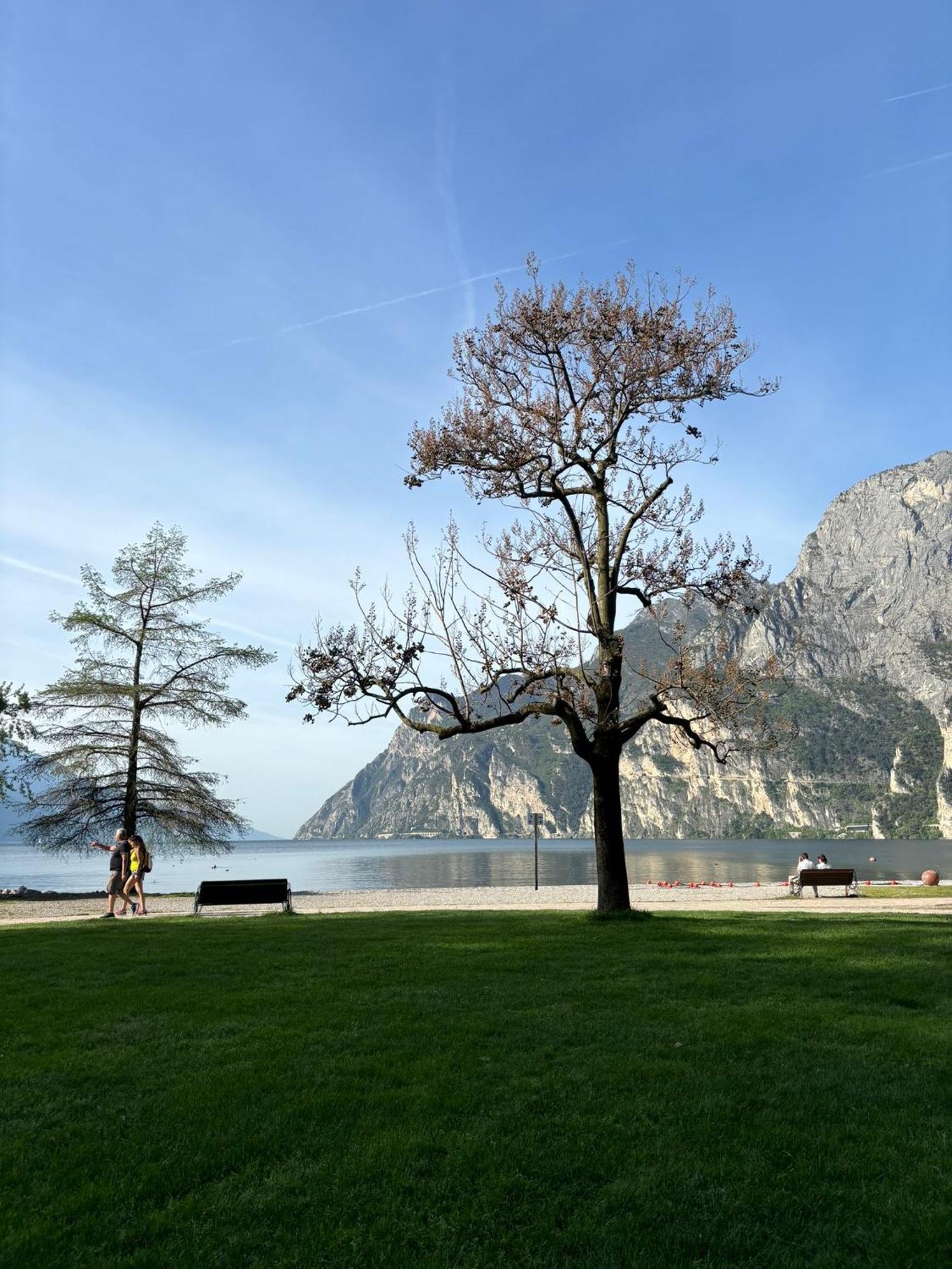 Апартаменти Garden & Pool Perugini Torbole Sul Garda Екстер'єр фото